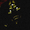 TheTrueSorrowMaker avatar
