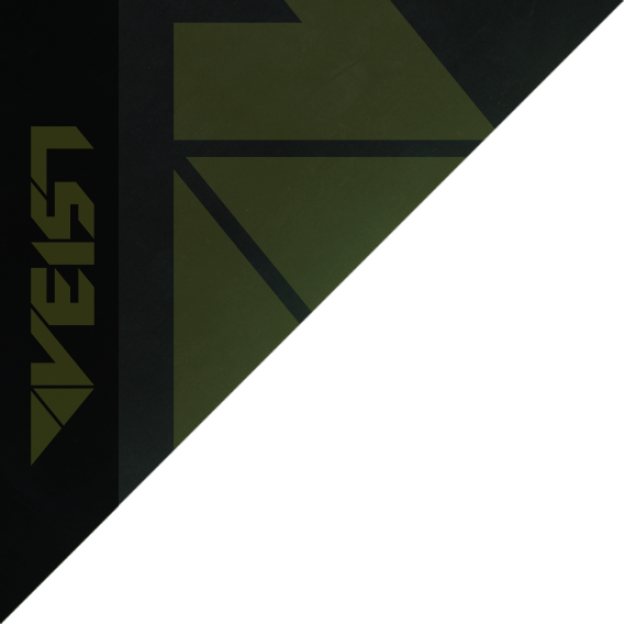 File:VEIST-logo.png