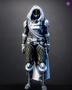 Dark Age Suit Hunter.jpg