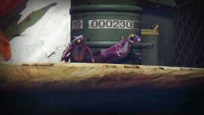 List of animals - Destinypedia, the Destiny wiki