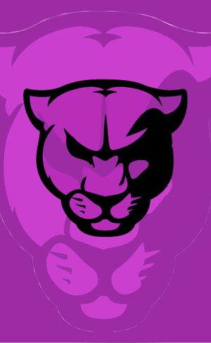 Panther Banner.jpg