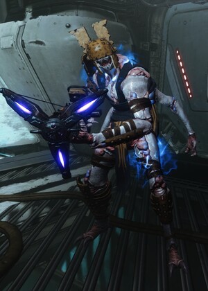 Corrupted Raider - Destinypedia, the Destiny wiki