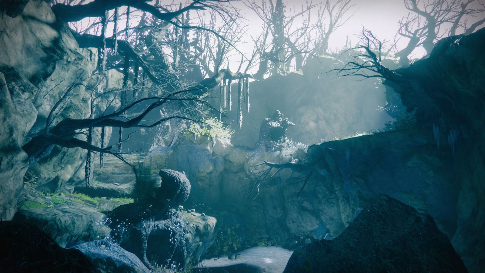 Hallowed Grove.jpg