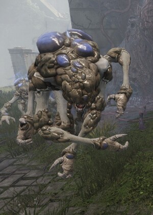 Tarnished Screeb (RS).jpg