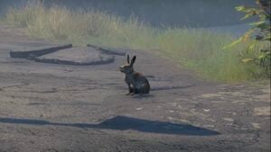 List of animals - Destinypedia, the Destiny wiki