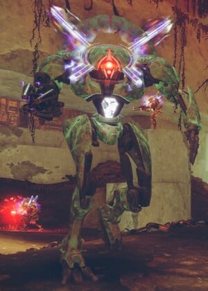 Hypoxeus Infobox.jpg