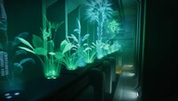 Hologram plants