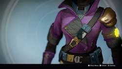 Queen's Guard Robes.png