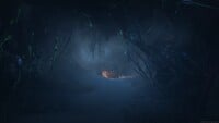 A tunnel in the Derelict