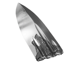 Radegast's Blade - Destinypedia, the Destiny wiki