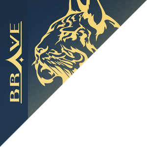 BRAVE Logo.png