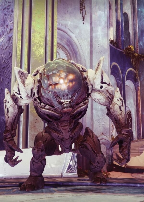 Hive Wrathborn Destinypedia, the Destiny wiki