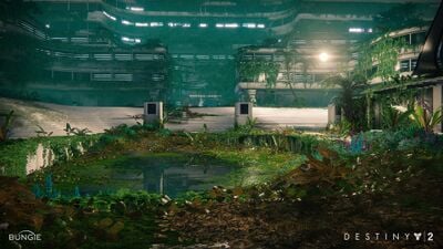 Arboretum - Destinypedia, the Destiny wiki