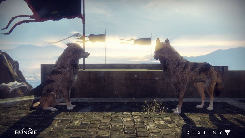 File:Destiny-ROI-Wolf-Ingame-09.jpg