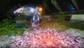 Thumbnail for version as of 11:37, May 10, 2026