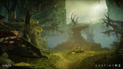 Black Garden - Destinypedia, the Destiny wiki