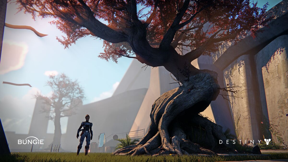 File:Tower Tree.jpg - Destinypedia, the Destiny wiki