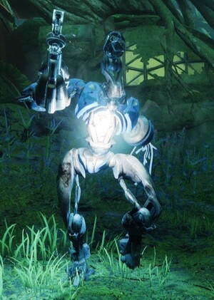 Singular Fanatic.jpg