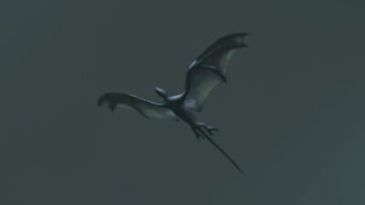 Batadactyl - Destinypedia, the Destiny wiki