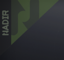 Nadir's new logo from Season of the Witch, as seen in the weapon inspection screen.