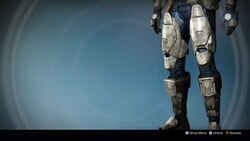 Agema Type 2 Legs Full.jpeg