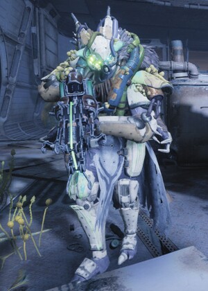 House of Exile Demolitionist (Elite).jpg