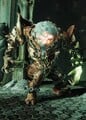 Thumbnail for version as of 17:04, June 16, 2026