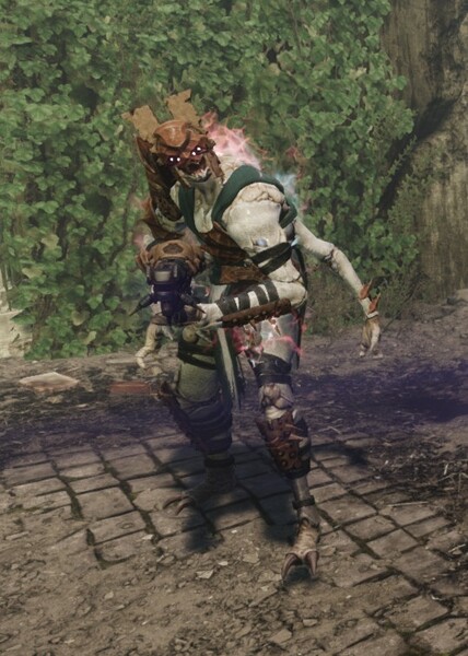 File:Corrupted Raider (RS).jpg