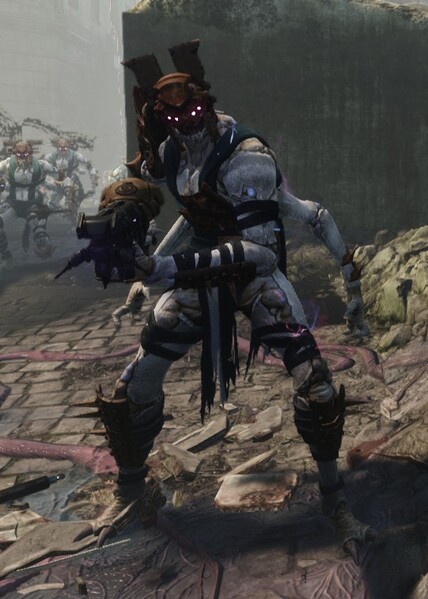 File:Tarnished Raider (RS).jpg