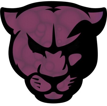 House Panthers logo.jpg