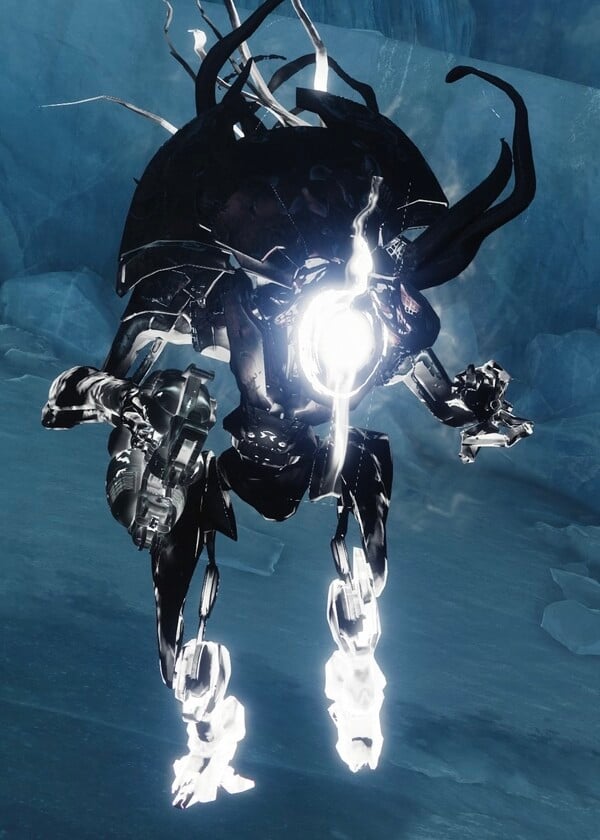 Blight Protector - Destinypedia, the Destiny wiki